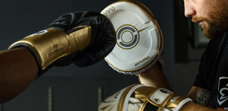 Punch Mitts